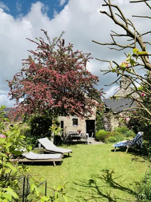 Le lavoir aux camélias