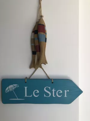 Le Ster