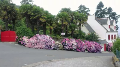 L'Oasis