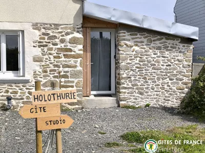 Studio de l'Holothurie