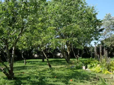 Le petit gîte de Rumigou