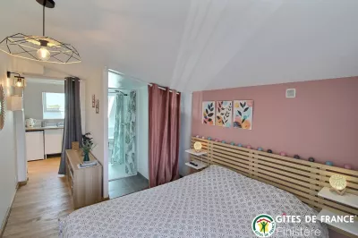 Studio de l'Holothurie