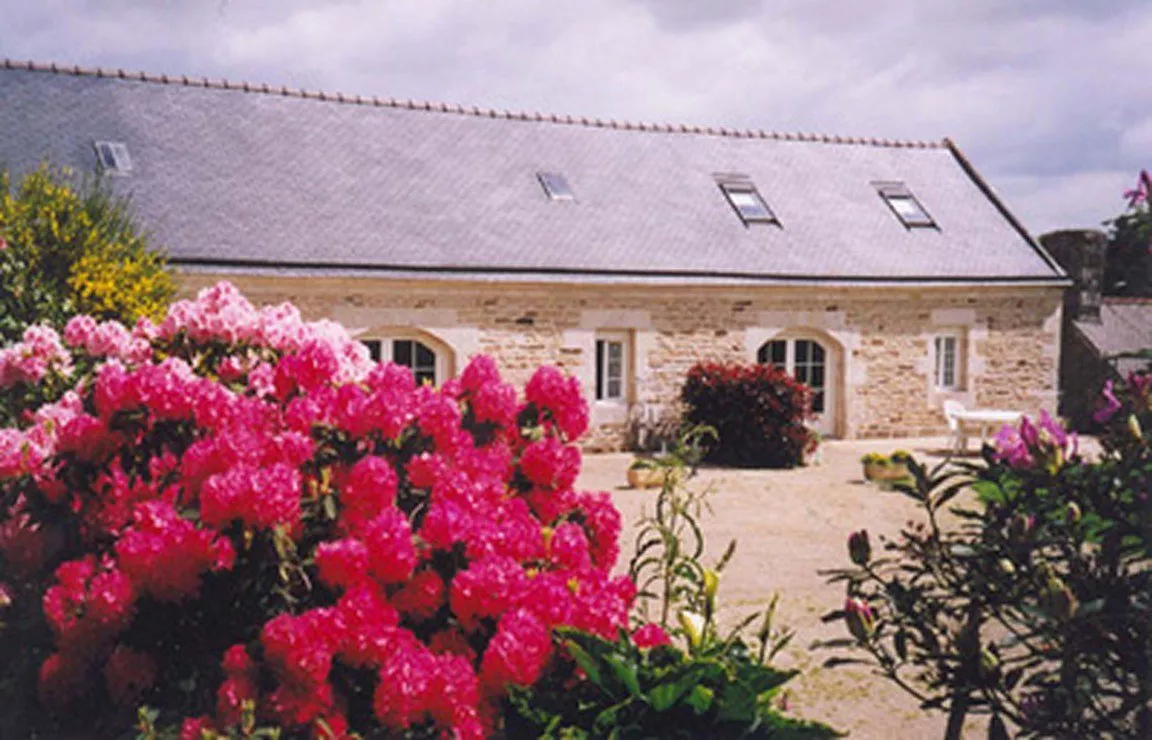 Les hortensias