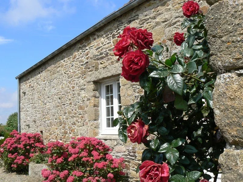 Gîte 29g2310 Ty Roz