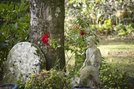 Gite groupe , rando, famille